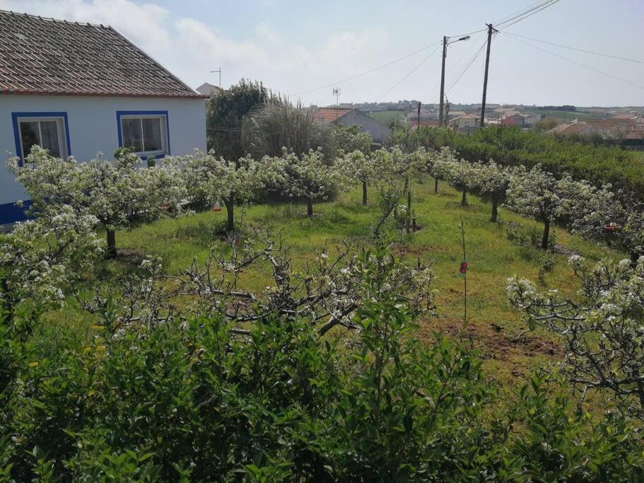 Casa Da Ti' Milia Villa Encarnacao Eksteriør bilde